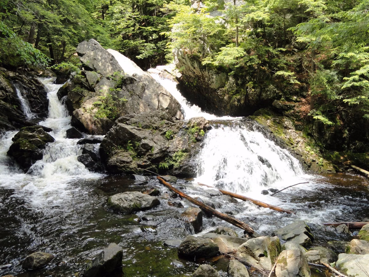 A stream running over rocks through hemlock woods in New Salem, Massachusetts
