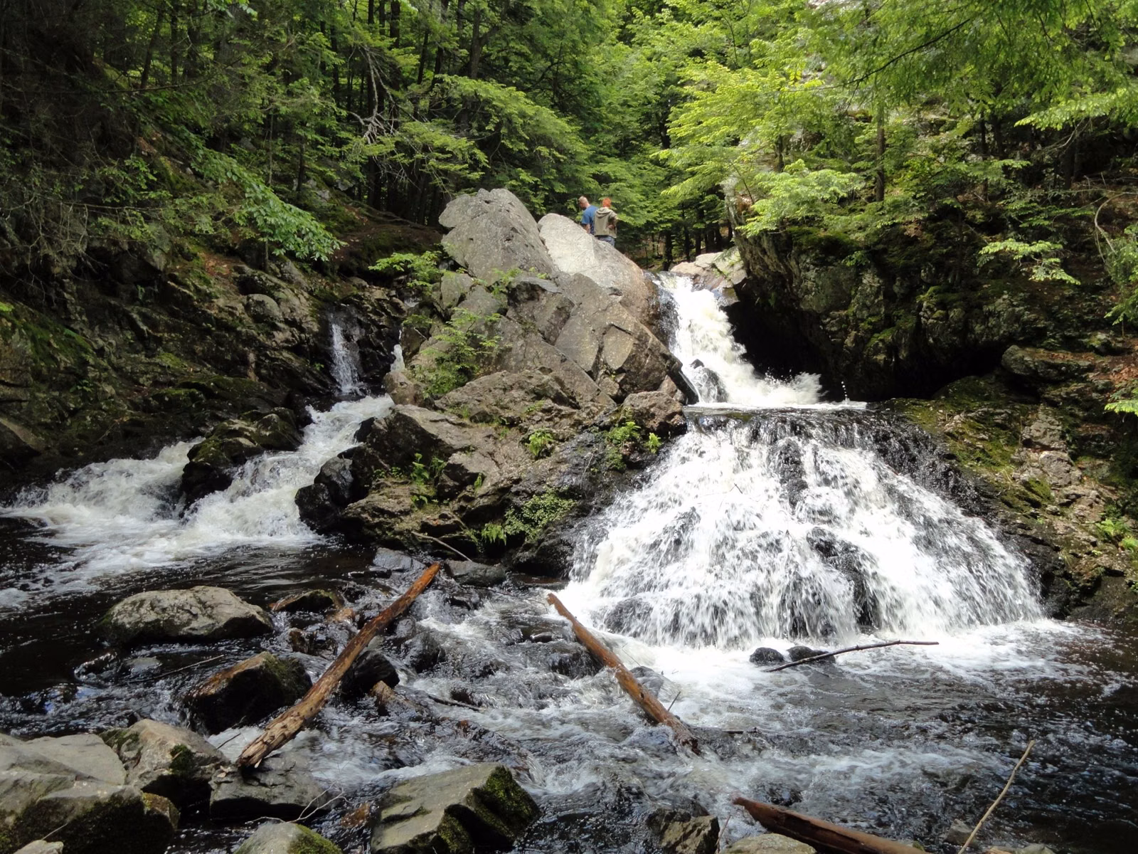 A small waterfall over boulders in hemlock woods in New Salem, Massachusetts